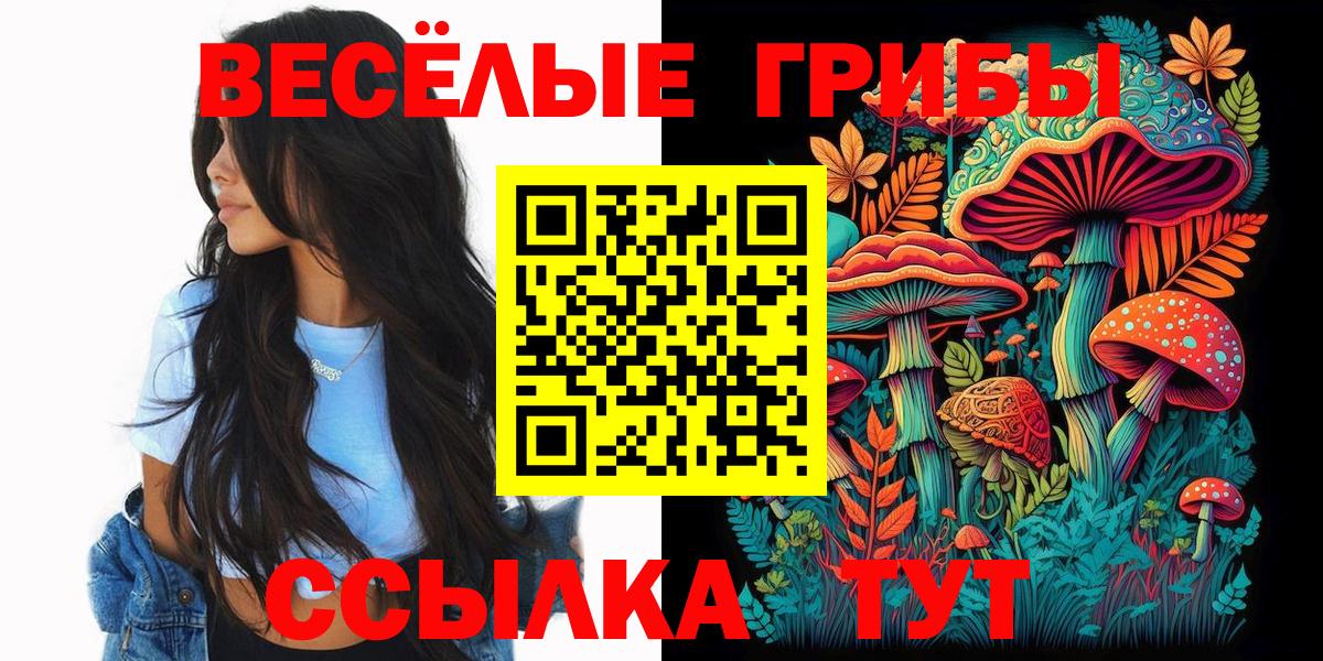 Псилоцибиновые грибы GOLDEN TEACHER  Вход с VPN  Псилоцибиновые грибы прущие грибы  цена   Ульяновск 