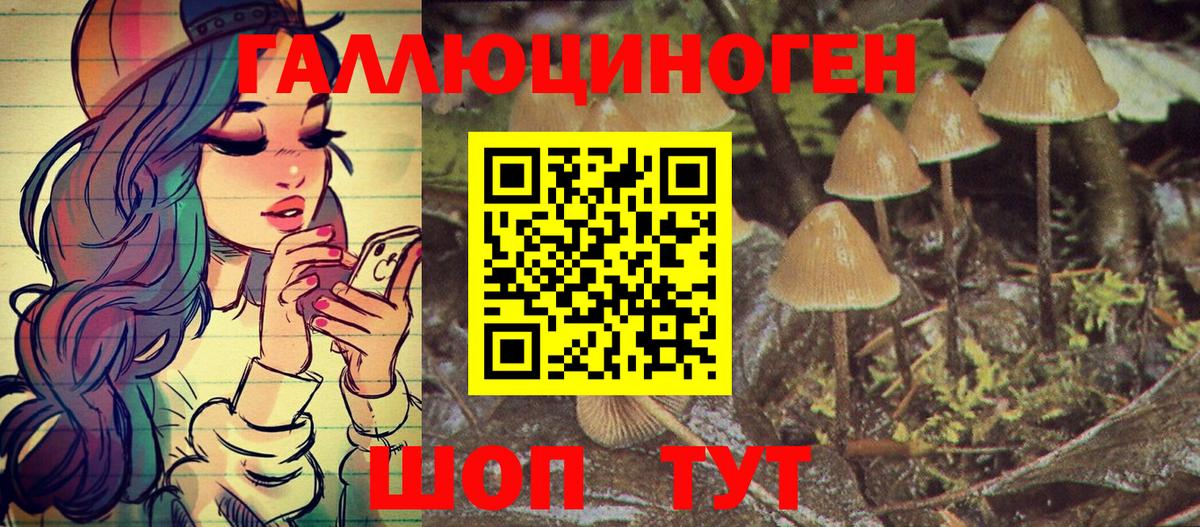 Галлюциногенные грибы Psilocybe Ульяновск